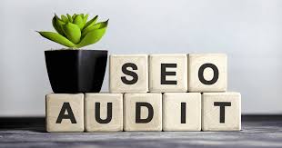 seo audit Magnify Consulting